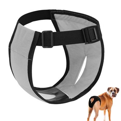 Cães – Cuidados de cães