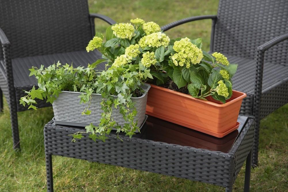 Doniczka Balkonowa Plastikowa 60 Cm Terakota Prostokątna Na Balkon I Taras 1 Szt. Draco