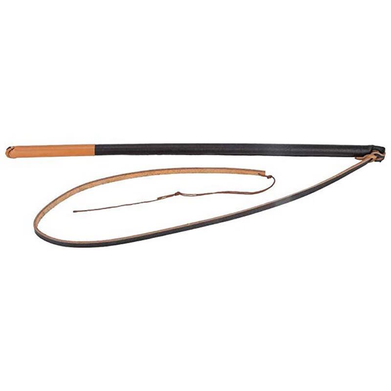 Dog Training Sonic Whip