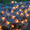 1 Stück 5m 20 LEDs Solarbetrieben Honigbiene LED Lichterkette Lichterkette Wasserdichtes Licht für Außen Garten Rasen Hof Landschaftsdekor