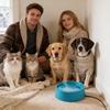 Heated Water Bowl Heated Pet Water Bowl Outdoor Heated Dog Dish Provides Drinkable Water in Winter for Dog & Cat