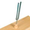 Stimmgabel Experimentalinstrument mit Resonanzkasten Singtonsatz für