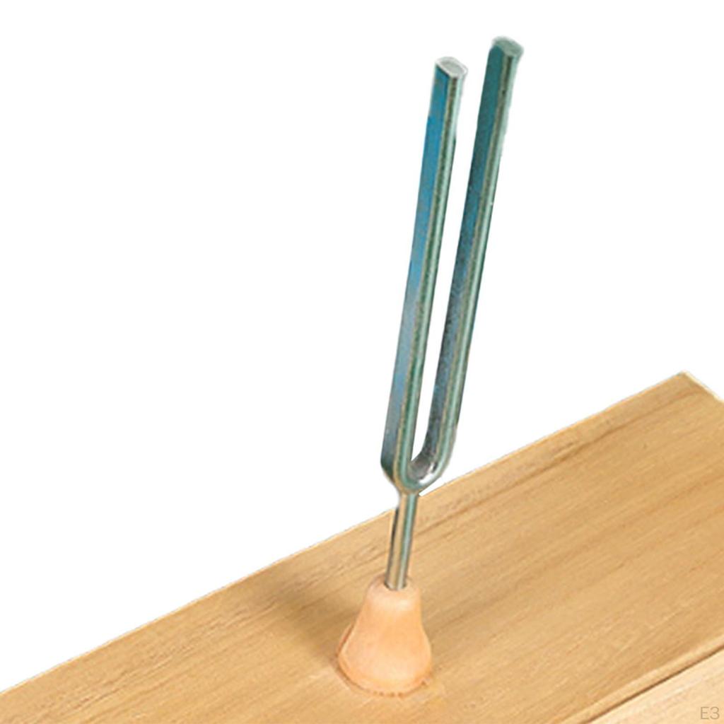 Stimmgabel Experimentalinstrument mit Resonanzkasten Singtonsatz für