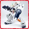 Sell Tr-01Hg1144 Hazel Custom  Action Figure Mecha Assembly Model Kit Aoz Series Pb Limited Edition Collectible Toys Gift