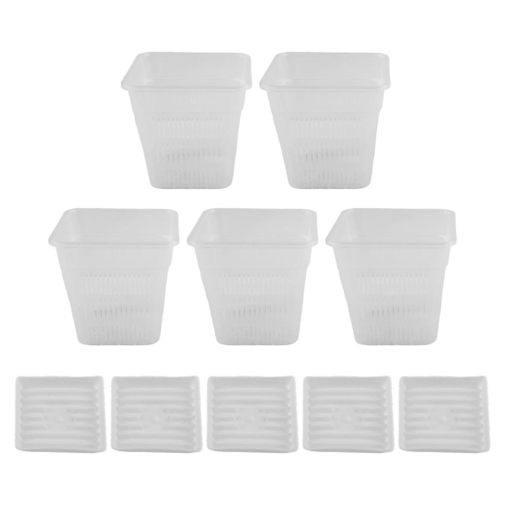 Root Observation Square Pot Designed for Optimal For Plant Growth Conditions