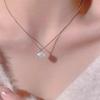 Colier elegant cu scoică S999 Argintiu pentru Femei - Design de Lux de Nișă, Lanț Claviculă High-End cu Stil Cool, Simplu