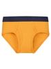 Boys' Combed Cotton Solid Color Elastic Briefs