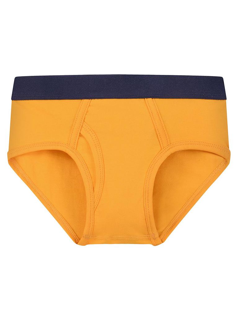 Boys' Combed Cotton Solid Color Elastic Briefs