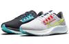 Nike Air Zoom Pegasus 38 Le Greedy Women's DJ3129-001