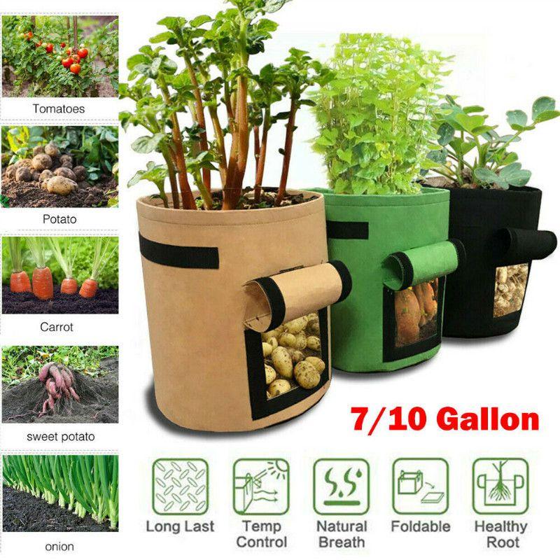 Durable And Reusable 5/7/10 Gallon Vegetable Grow Bags With Convenient Carry Handles