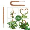 Premium Quality Coconut Shell Plant Climbing Pole 60-120cm Length