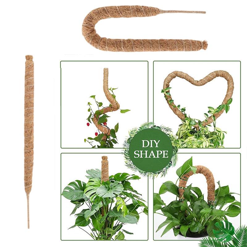 Premium Quality Coconut Shell Plant Climbing Pole 60-120cm Length