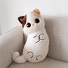 Cartoon Cat Plush Pillow With Embroidered Animal Design For Couch Lounge And Bed Comfort