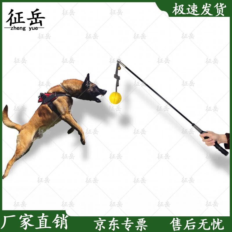 Professional Dog Training Stick
