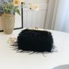 Autumn New Turkey Plush Bag 2025 Fashionable Solid Color Plush Bag High Value Shoulder Bag Oblique Chain