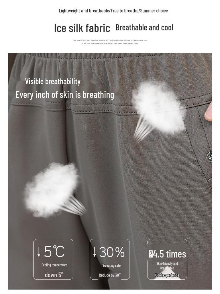Ice Silk Elastic Waist Casual Pants for Middle-Aged & Elderly Women - Plus Size, Loose Straight-Leg Trousers