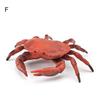 Simulation Animal Model Vivid Intelligence Development Solid Aquarium Miniature Crab Cognition Education Toy for Home