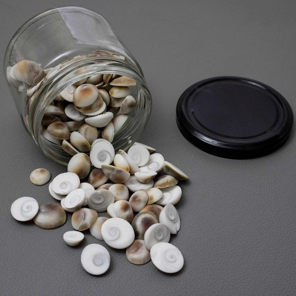 RSINC Original Energized Set of 5 Gomati Chakra for Mystic Lakshmi Pooja | Wealth Luck Gomathi Chakra