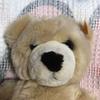 [USED] Used Steiff Gran Papa Teddy Bear Plush Toy