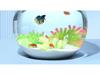 Tropical Fish Guppy & Flowerhorn Granules: Dried Insect Fish Feed