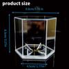 Acrylic Baseball Display Case Clear Baseball Holder Display Box Hexagonal Display Holder Dustproof Baseball Case