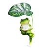 Garden Frog Ornament Resin Sitting Frog Figurine Planter Decor Frog Statue for Flower Pots Balcony Patio Home Indoor Decoration
