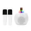 Audio și Video – Playere karaoke