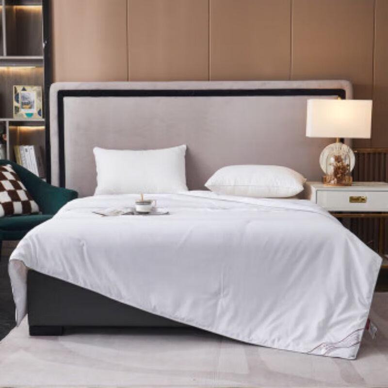 Bijiaman BGM-B2310 All-Season Jacquard Mulberry Silk Quilt