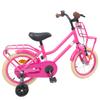 Bicicleta Infantil 14 Polegadas para Idades 3 5 Rosa Escuro