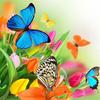 5d Diamond Painting Butterfly Full Round Drill Diamond Mosaic Animal Cross Stitch