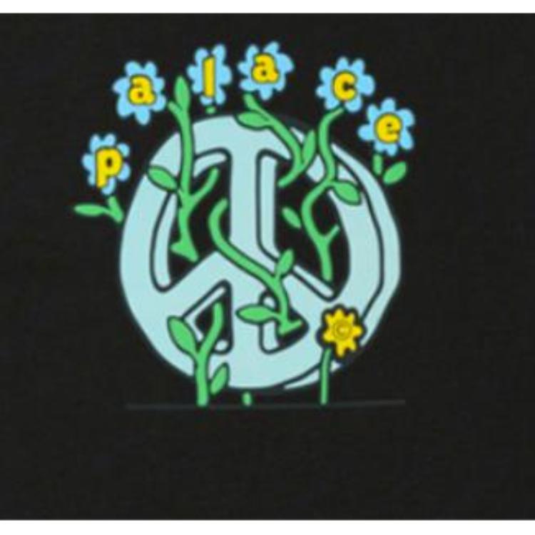 Palace Grower T-Shirt Black Unisex Tops P26TS085