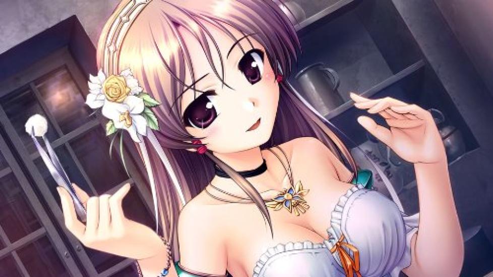 Aiyoku no Eustia blessing PS Vita Angel's (Standard Edition) -