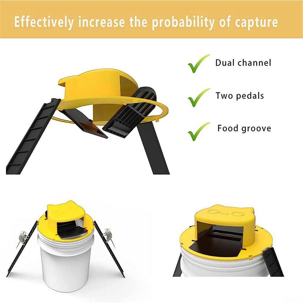 Buy Flip N Slide Bucket Lid Mouse Traps with Ladder Home Mousetrap Cat