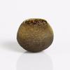 Dayi Golden Tangerine Pu-erh Tea