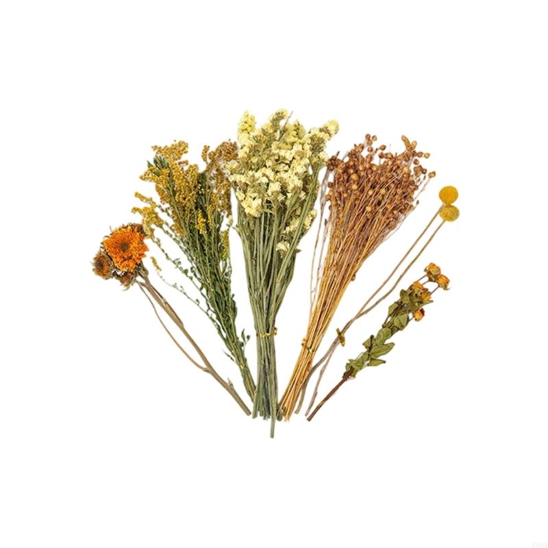 Decorative Colorful Dried Floral Bedding Set for Small Pet Creates Natural Flower Habitat