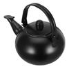 Stainless Steel Teapot Stovetop Black Coffee Kettle Handle Loose Leaf Tea Brewing Coffee Filtering Boiling Water Kitchen