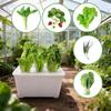 6 Holes Soil-Free Planting Box Plastic Nursery Pots Versatile Cultivation Box  Indoor Gardening