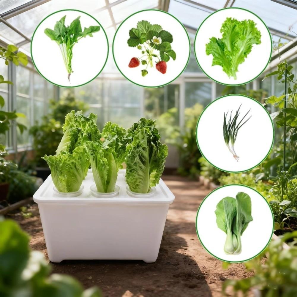 6 Holes Soil-Free Planting Box Plastic Nursery Pots Versatile Cultivation Box  Indoor Gardening