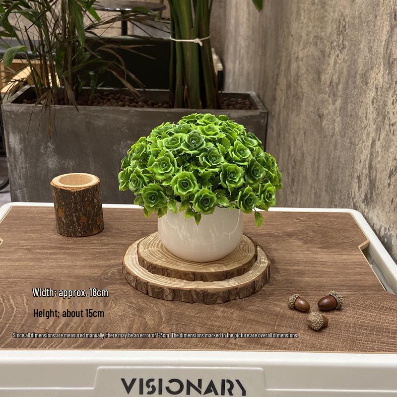 Home Homestay Ornaments: Mini Potted Green Plant for Office Conference Room Decor