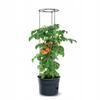 Pot for growing tomatoes with support 28l