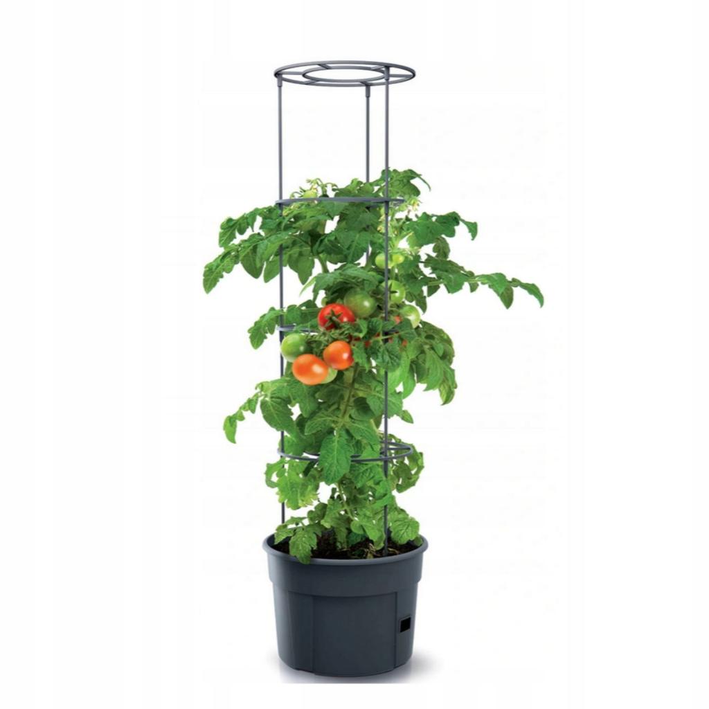 Pot for growing tomatoes with support 28l