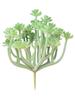 Sale Künstliche Sukkulente Blume - Florale Mini-Pflanzen Laub Garten-Deko/Geschenk