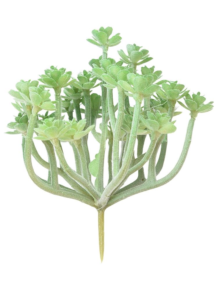 Sale Künstliche Sukkulente Blume - Florale Mini-Pflanzen Laub Garten-Deko/Geschenk