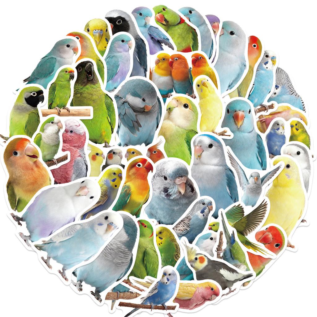 50PCS Cute Cartoon Parrot Graffiti Stickers Waterproof Vinyl Decals for Guitar Notebook Luggage DIY Decoration