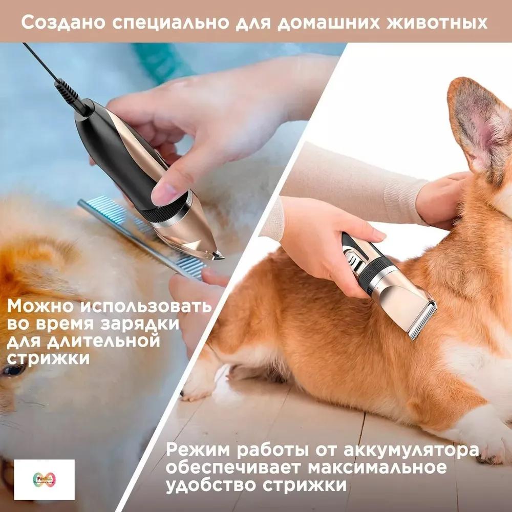 Pet trimmer, cordless hair clipper for dogs and cats