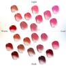 Laka Fruity Glam Tint Couleur Froide pour les Lèvres Produit Japonais Authentique #105