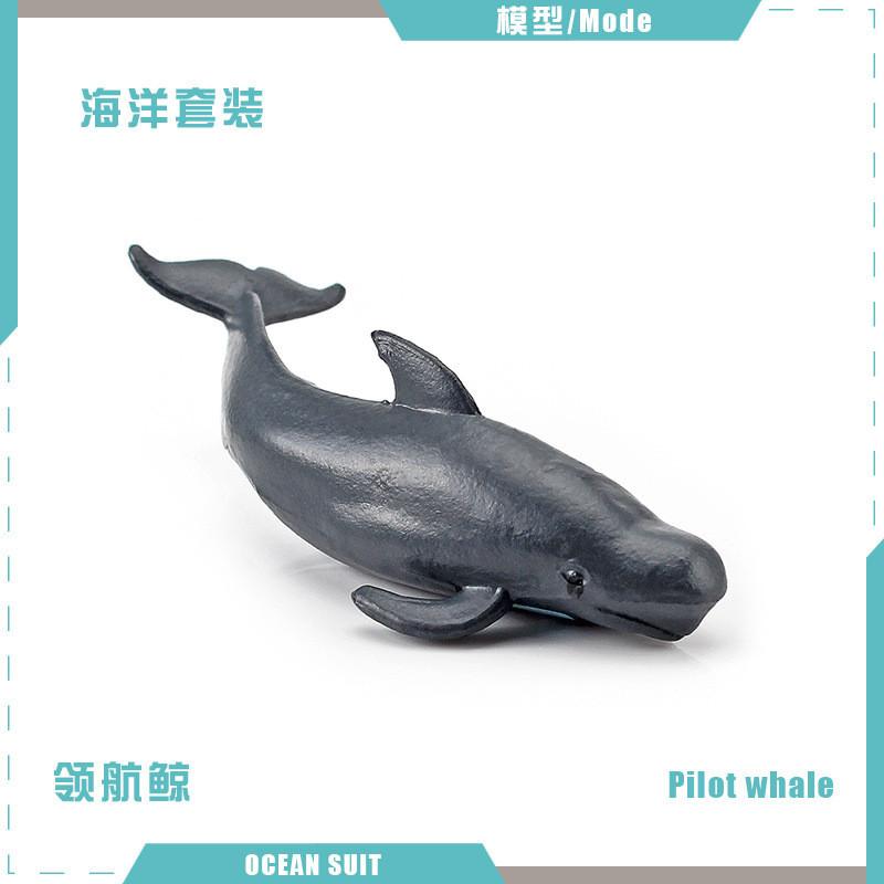 Realistic Ocean Animal Figurine Set Featuring Sharks Turtles Dolphins Penguins And Crabs For Kids And Collectors