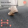 Dajiang Entrance Mat, Doorway Rug, Foot Mat, 2026 New Model Doormat Carpet, Entrance Floor Mat, 80x120cm
