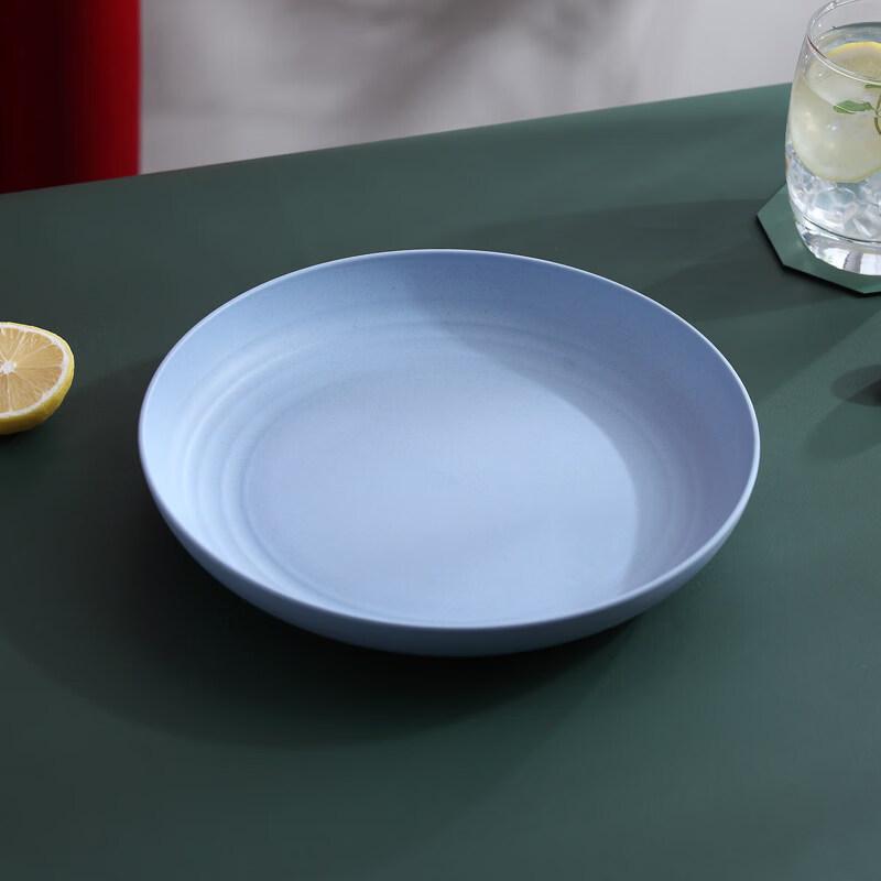 ZISIZ Disposable Round Plastic Plate