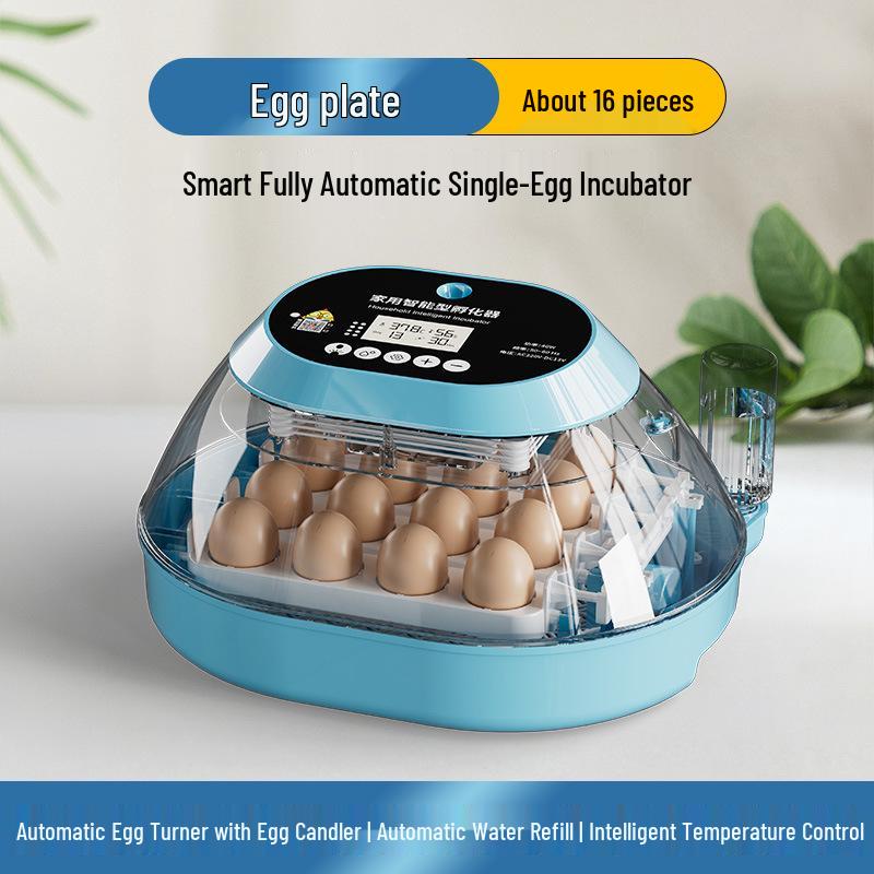 Smart Egg Incubator for Small Households - Ideal for Chicken, Duck, Goose, Pigeon, and Quail Eggs.